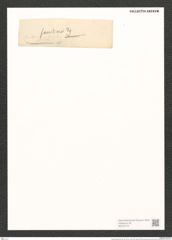 Synedra familiaris Kuetz. (de-Toni-Nr.: Genus 66, Species 2635) Zeichnungen Sammlung Grunow (NHMW-BOT-W0373772)
